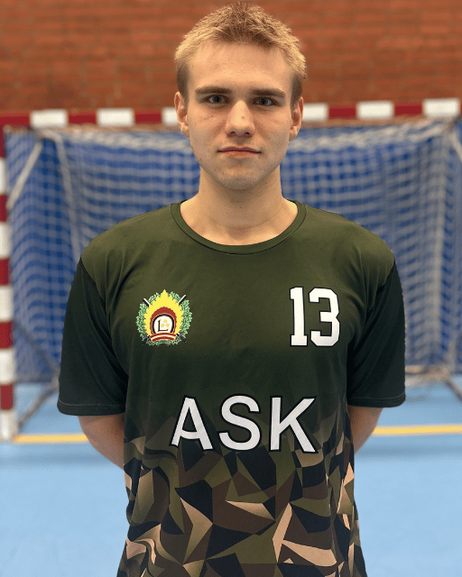 Krists Vidzis