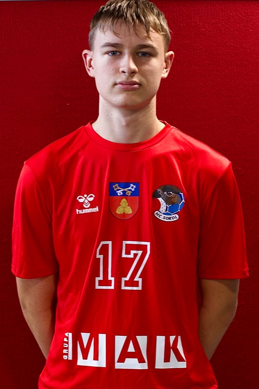 Donatas Artiševskis