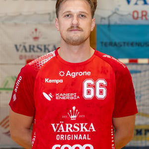 Hendrik Varul