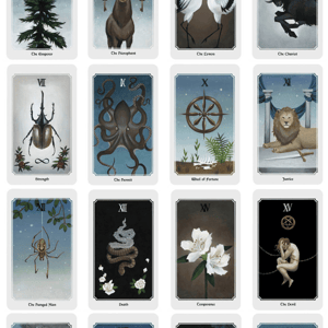 anima mundi tarot deck 78 card deck with guide book nature deck occult divination cards major and minor arcana