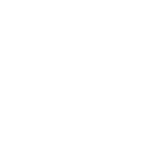 Moon logo image