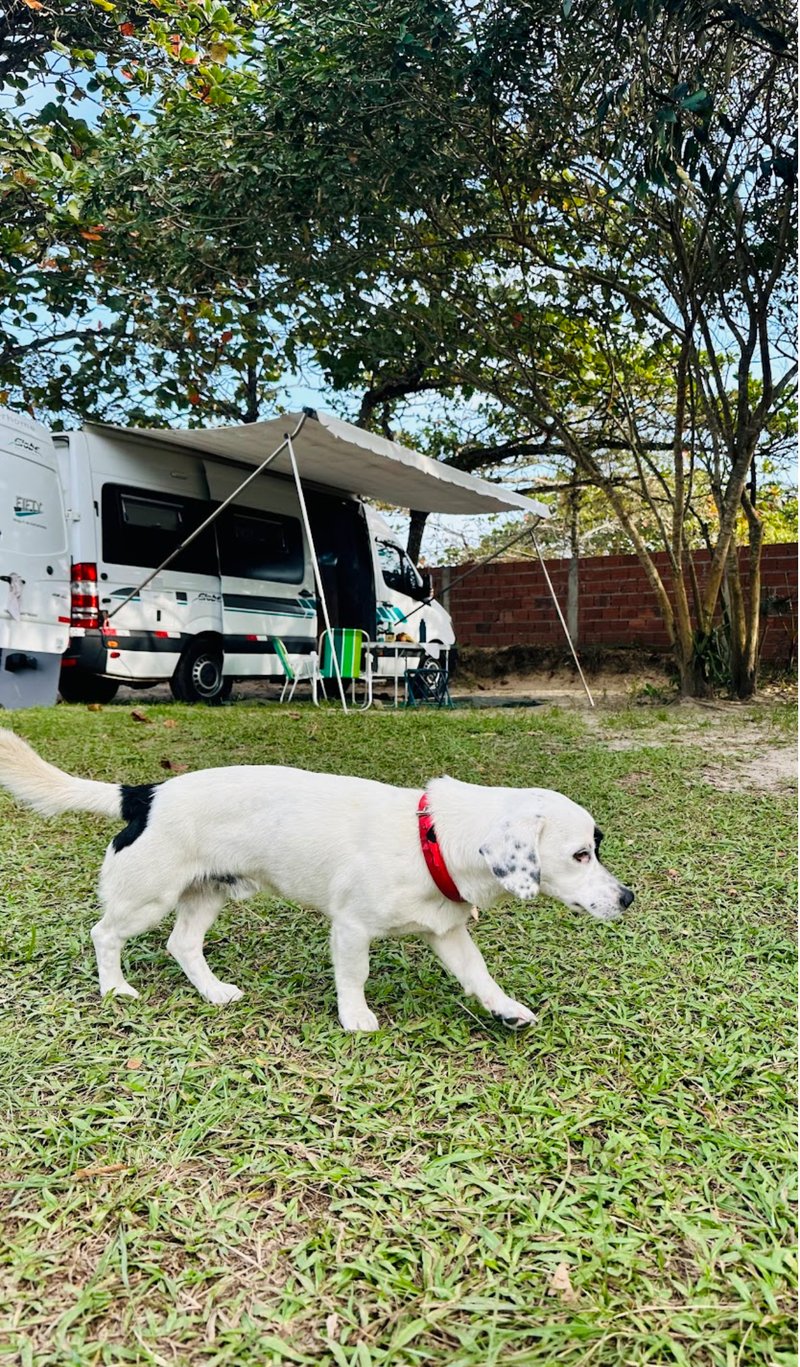 Motorhome em camping com céu estrelado (3)