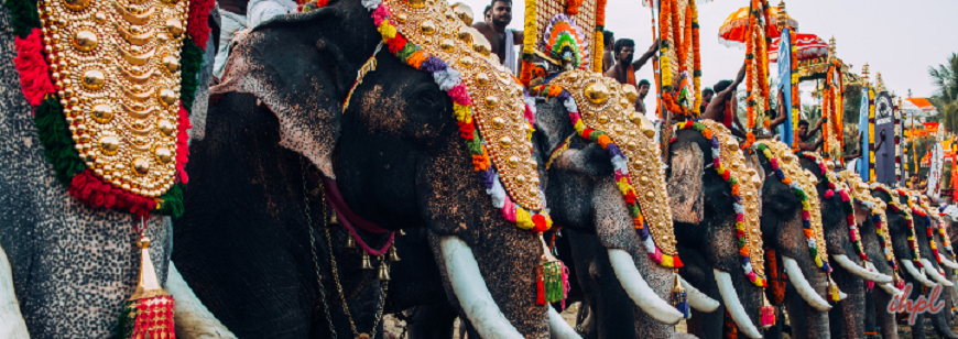 Major Festivals of Assam