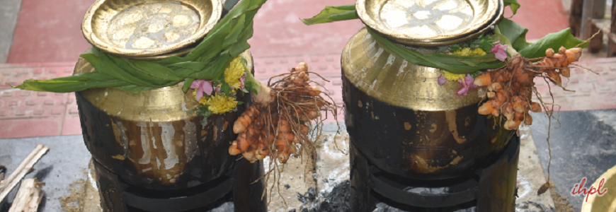Pongal Festival In Pondicherry