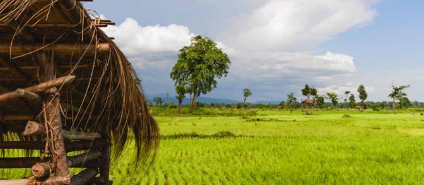 Best Time to Visit Bhalukpong