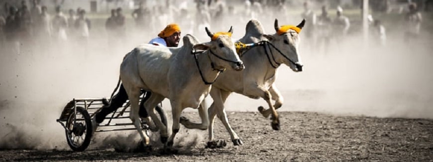 Kila Raipur Sports Festival