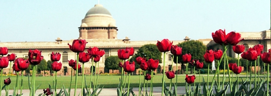 Flower Show in Delhi​