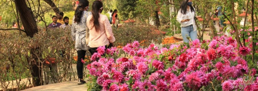 Garden Tourism Festival New Delhi
