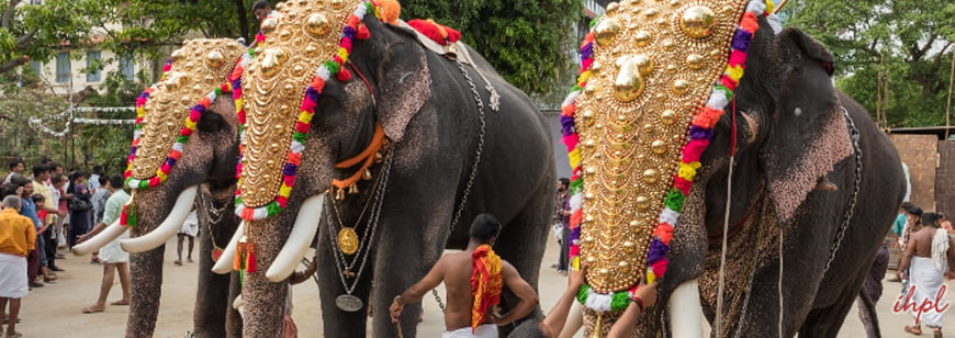 Aanayoottu Festival, Kerala