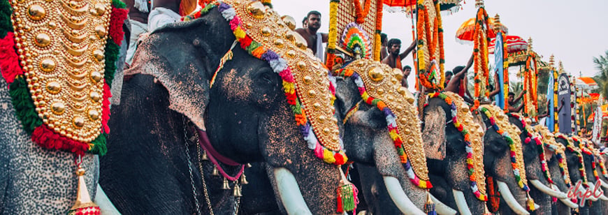 Adoor Gajamela Festival