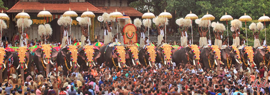 Pariyanampatta Pooram Kerala