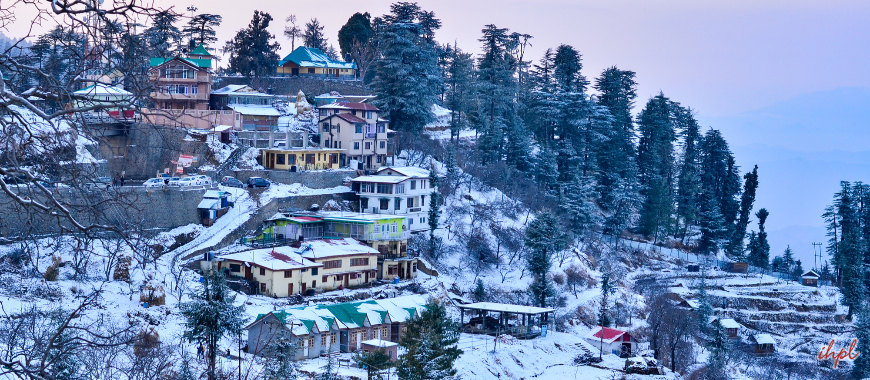Kufri Travel Guide
