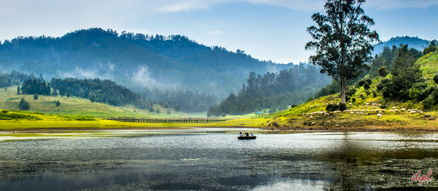 Places to Visit in kodaikanal