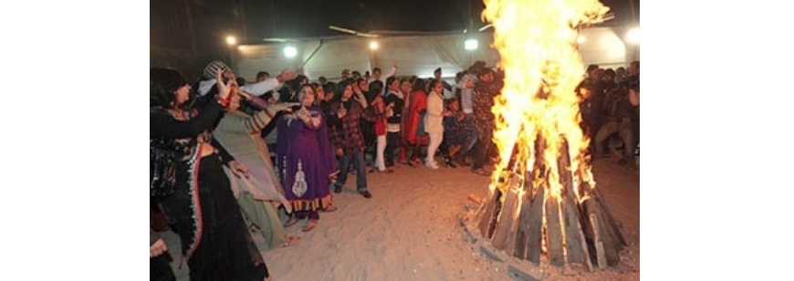 Tiger-Den-Resort