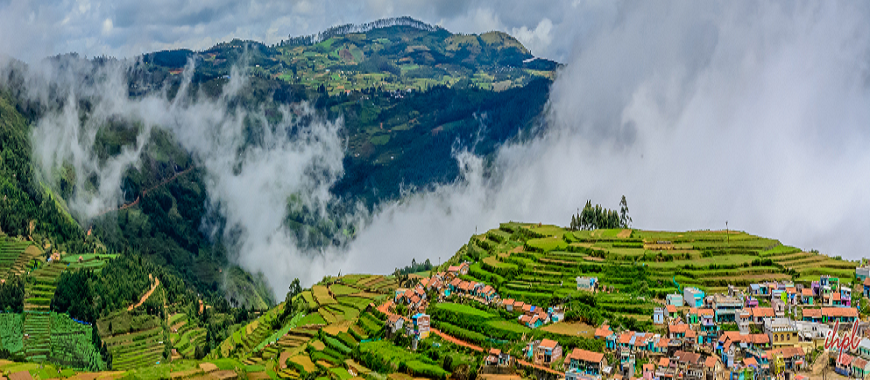 Places to Eat in Ooty