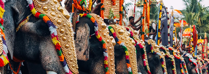 Paripally Gajamela Festival Kerala