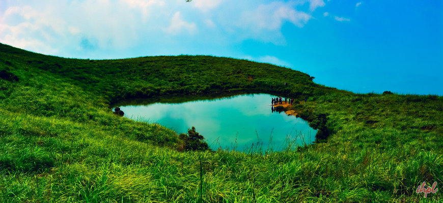 Wayanad Tourism & Travel Guide