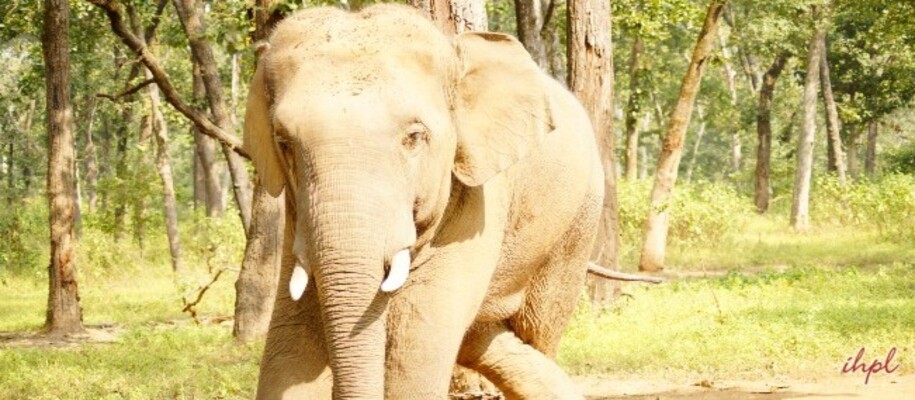 Achanakmar Wildlife Sanctuary