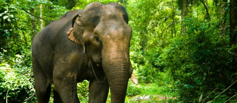 Belghar Wildlife Sanctuary