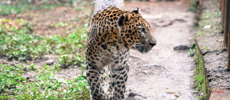Bondla Wildlife Sanctuary