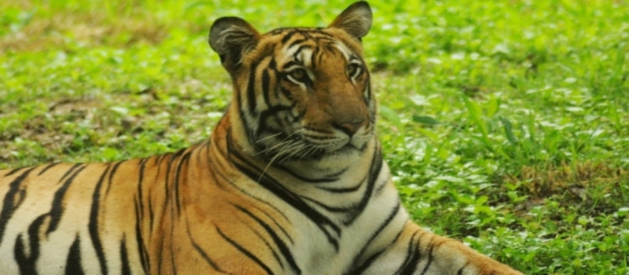 Chaprala Wildlife Sanctuary
