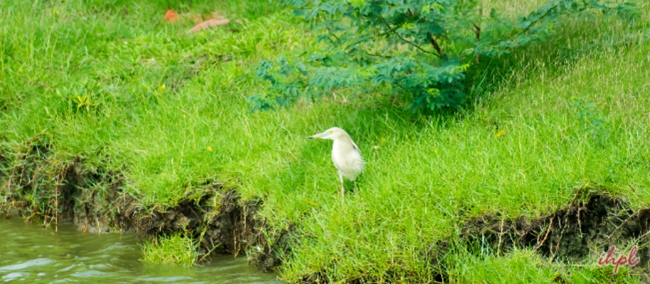 Kaundinya Wildlife Sanctuary