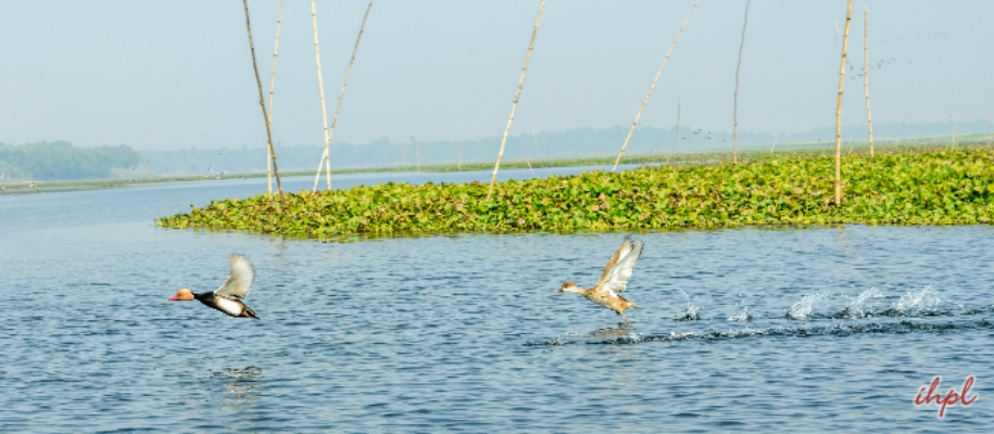 Krishna Wildlife Sanctuary