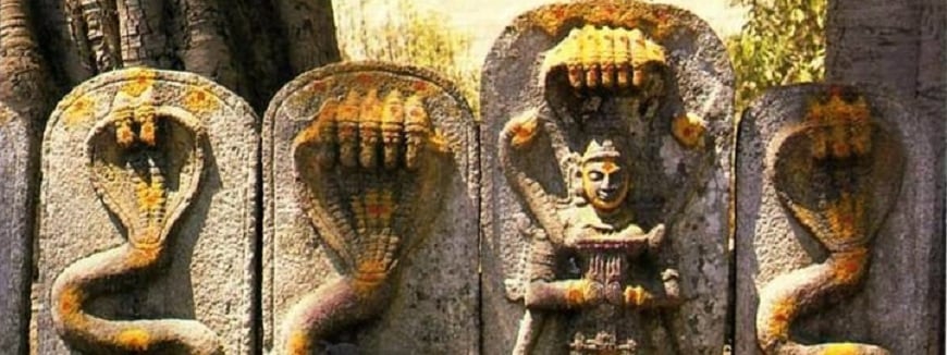 Nag panchami Festival bihar