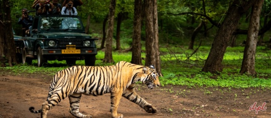 National Parks in East India