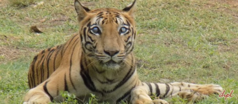 Nandan Kanan Wildlife Sanctuary