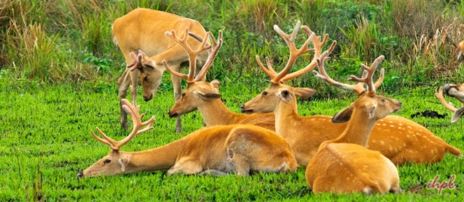 Overa Wildlife Sanctuary