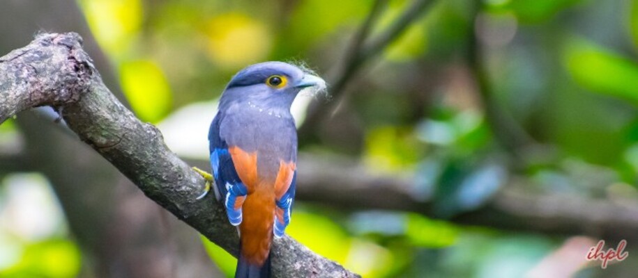Pameda Wildlife Sanctuary