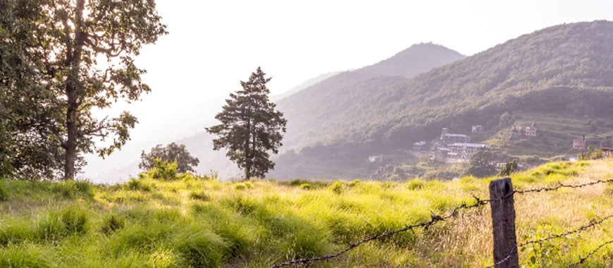 Weekend Getaway from Delhi to Pangot