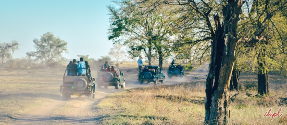 Panna National Park