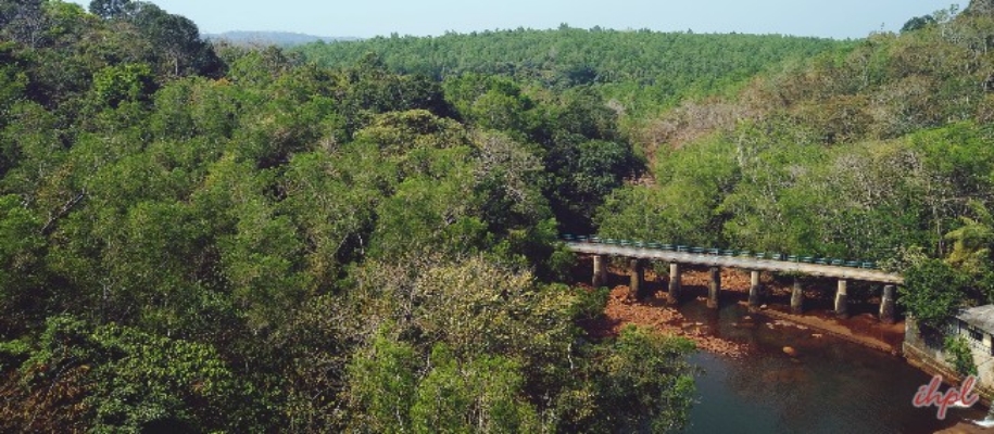 Peppara Wildlife Sanctuary