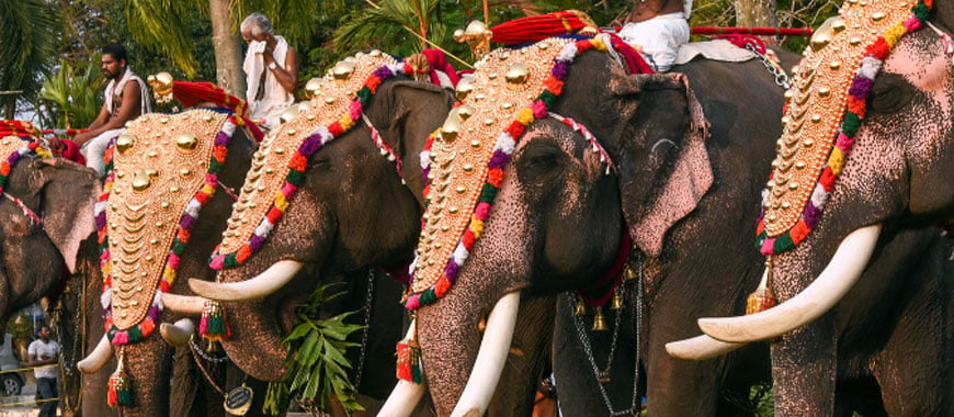 Weekend Getaway from Bangalore to Guruvayur