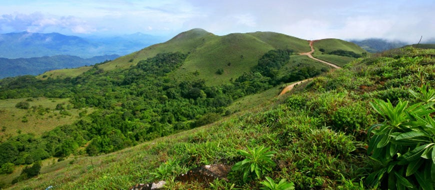 Weekend Getaway from Bangalore to Madikeri