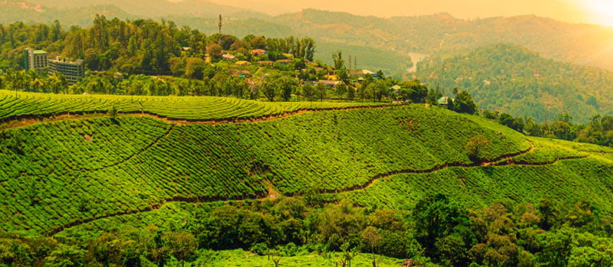 Weekend Getaway from Bangalore to Munnar