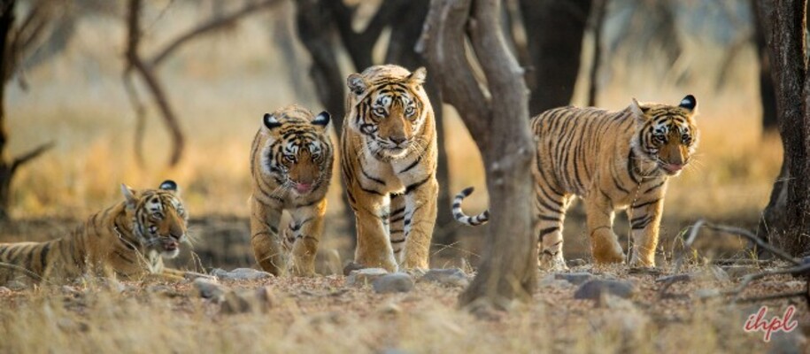 Sitanadi Wildlife Sanctuary