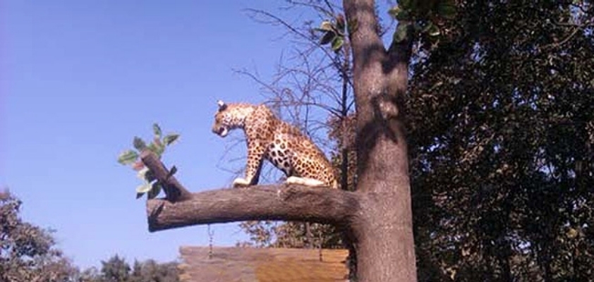 Vansda National Park