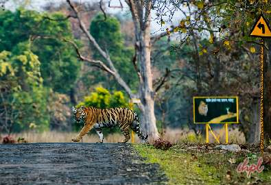 Kabini River in Karnataka