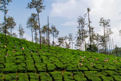safe-places-to-visit-near-hyderabad-with-covid-guidelines-ananthagiri-hills