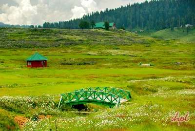 Manali Wildlife Sanctuaryy