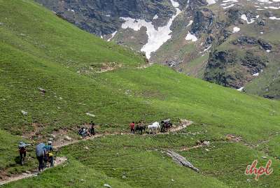 Kufri-Shimla