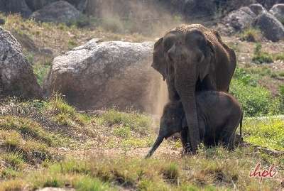 one-day-trip-munnar-blossom-park