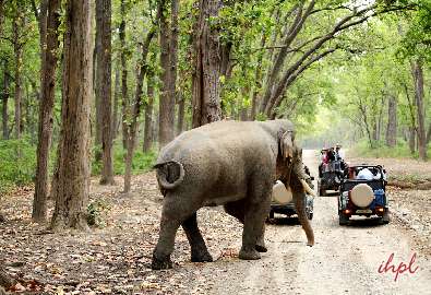 Hippie Island Hampi