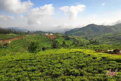 Darjeeling
