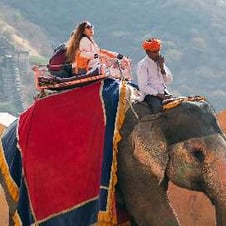 Horse Safari in Rajasthan
