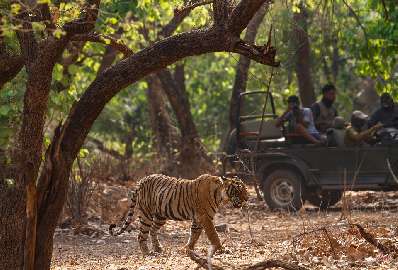 honeymoon-places-near-chennai-mahabalipuram