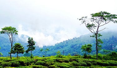 bhopal